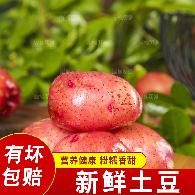 木底上摆放着红皮小土豆