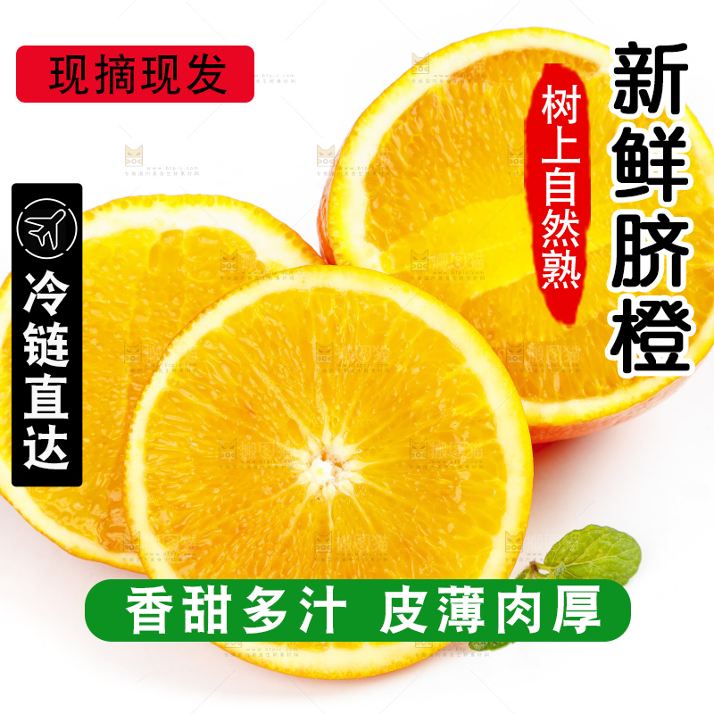 白底上摆放着新鲜脐橙