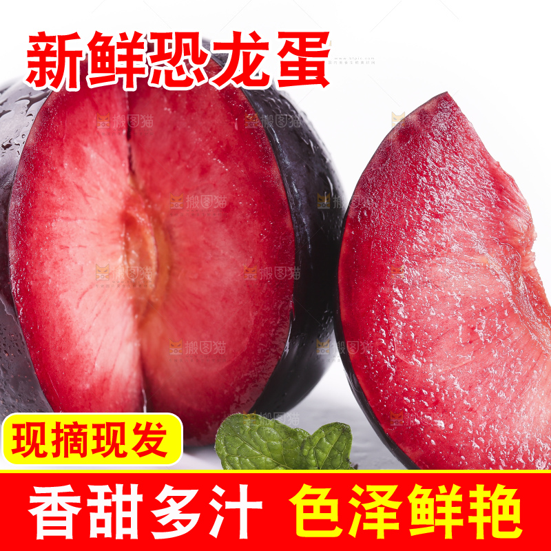 白底上放着智利进口恐龙蛋