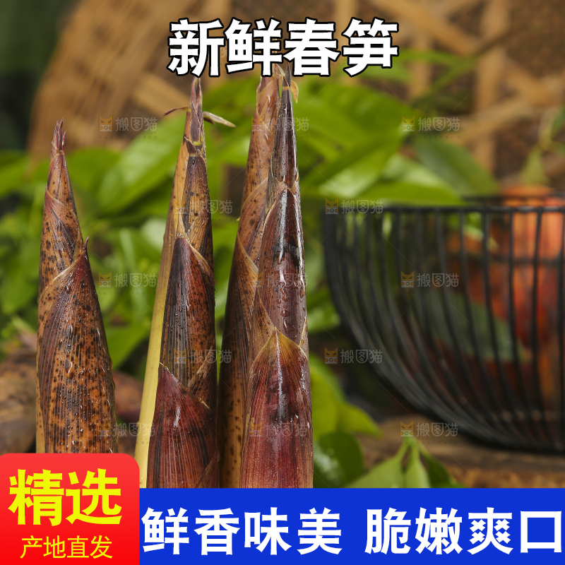 木底上摆放着春笋