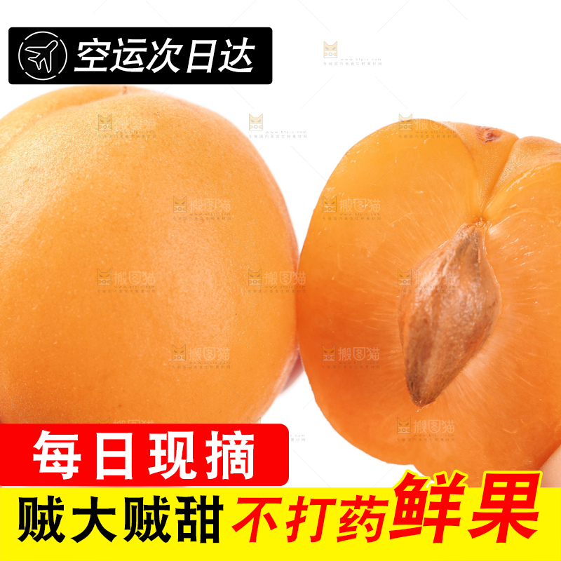 手里拿着金太阳杏