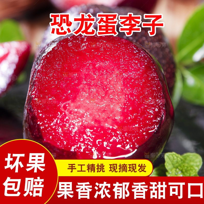 黑底上摆放着智利进口恐龙蛋