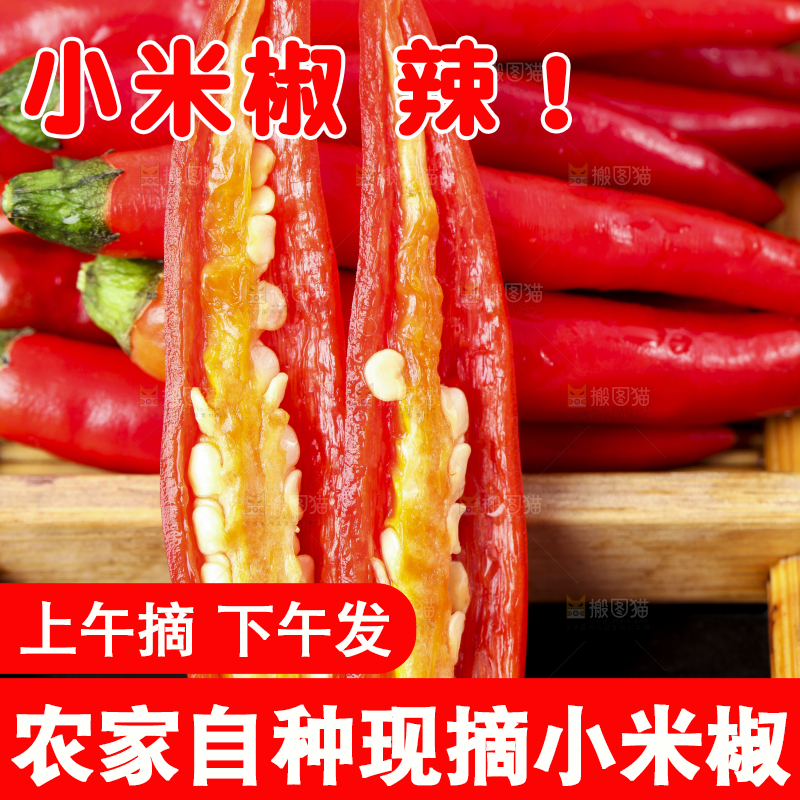 木底上摆放着小尖椒