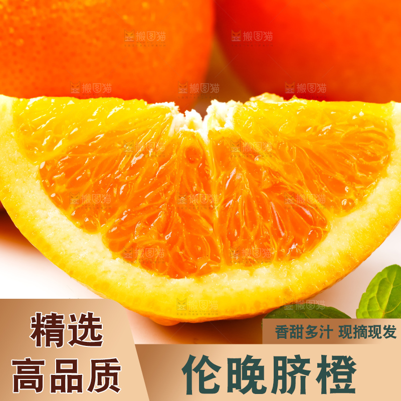 白底上放着伦晚脐橙