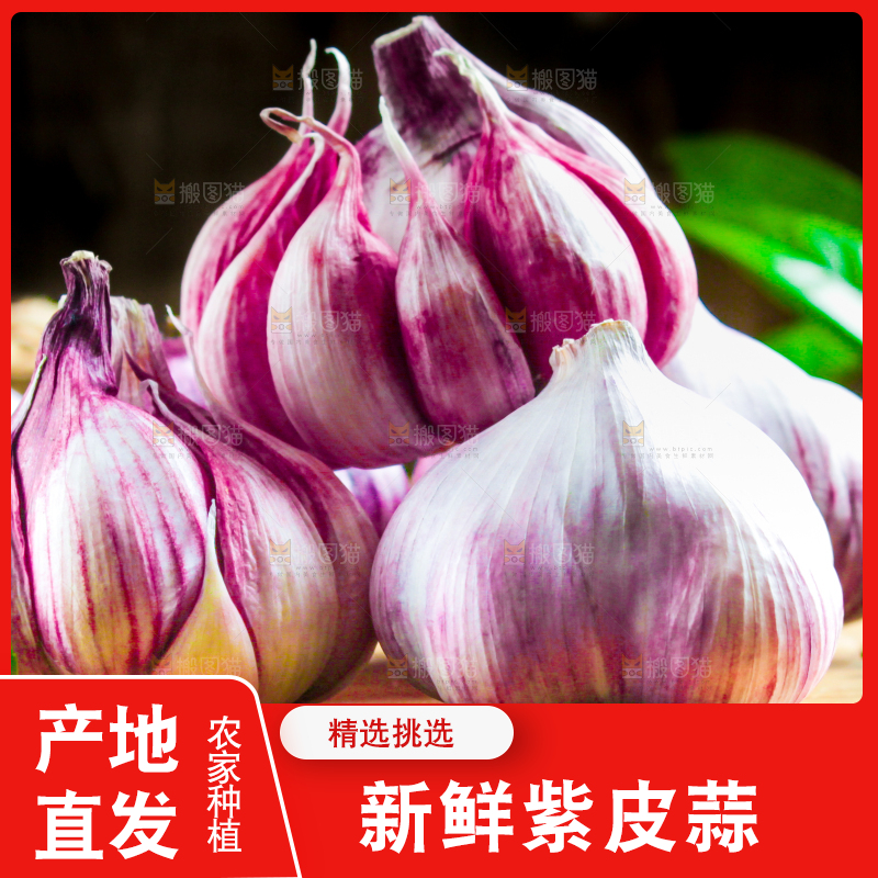 木板上放着紫皮多瓣蒜