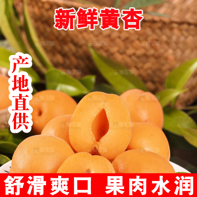 盘子里放着金太阳杏