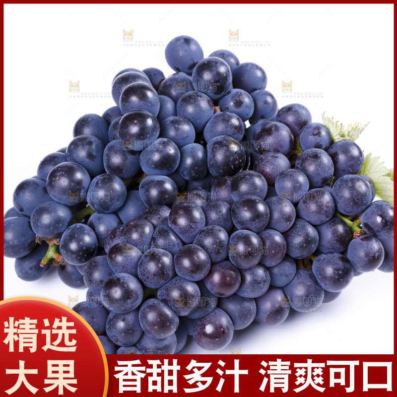 白底上摆放着巨峰葡萄