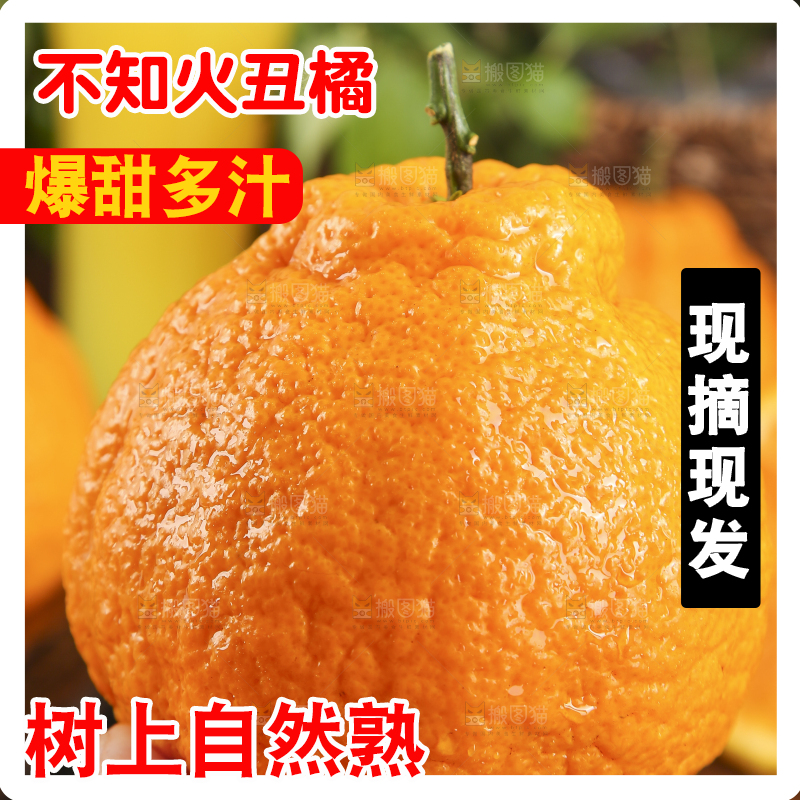 手里拿着不知火柑橘