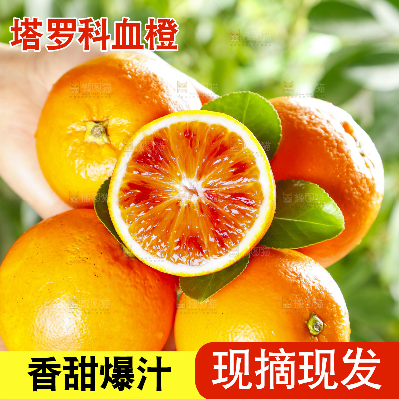 手里拿着塔罗科血橙