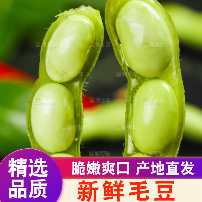 黑底上摆放着毛豆角