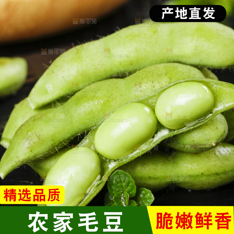 黑底上摆放着毛豆
