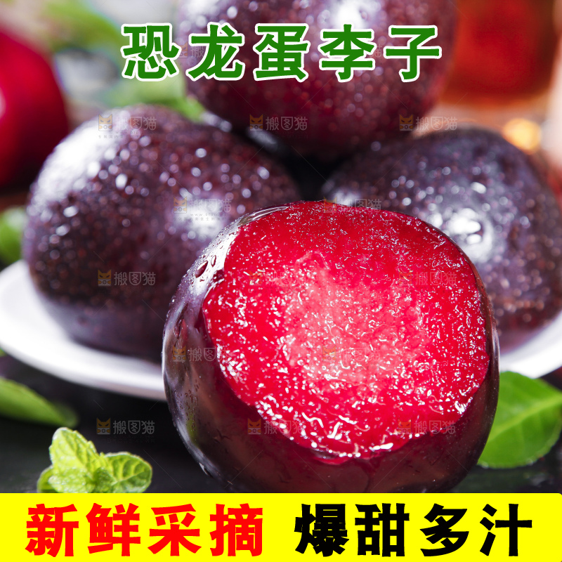 黑底上摆放着智利进口恐龙蛋