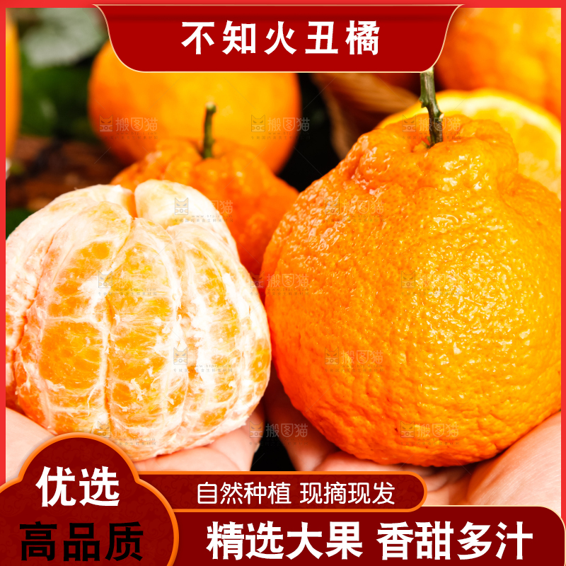 手里拿着新鲜丑橘