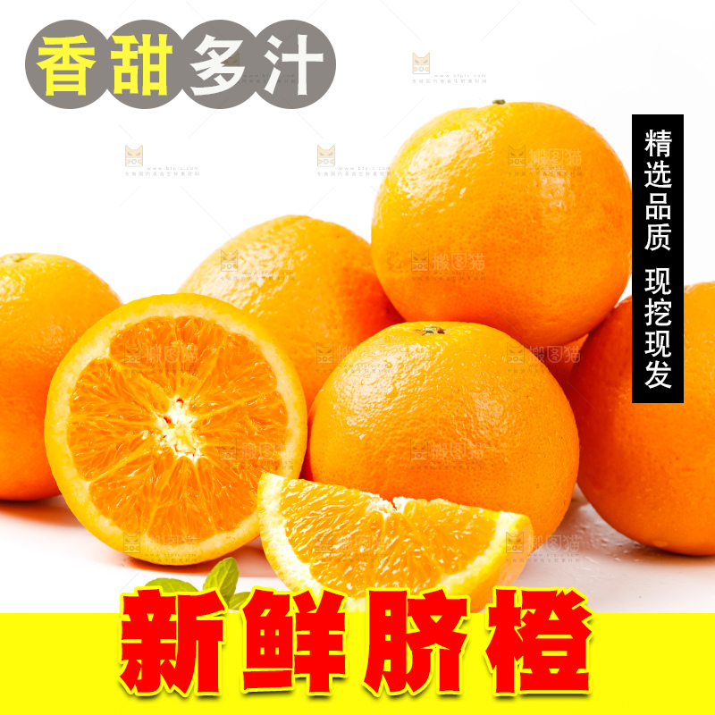 白底上放着伦晚脐橙