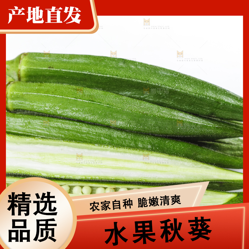 白底上摆放着黄秋葵