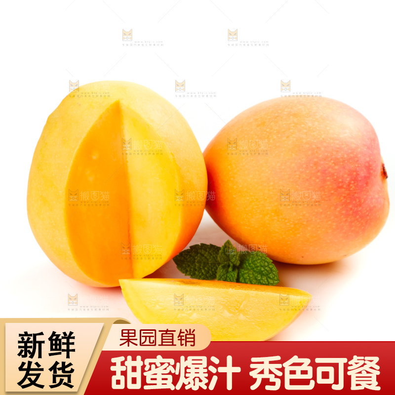 白底上摆放着越南澳芒