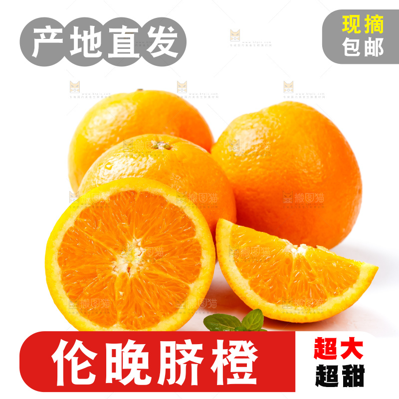 白底上放着新鲜伦晚脐橙