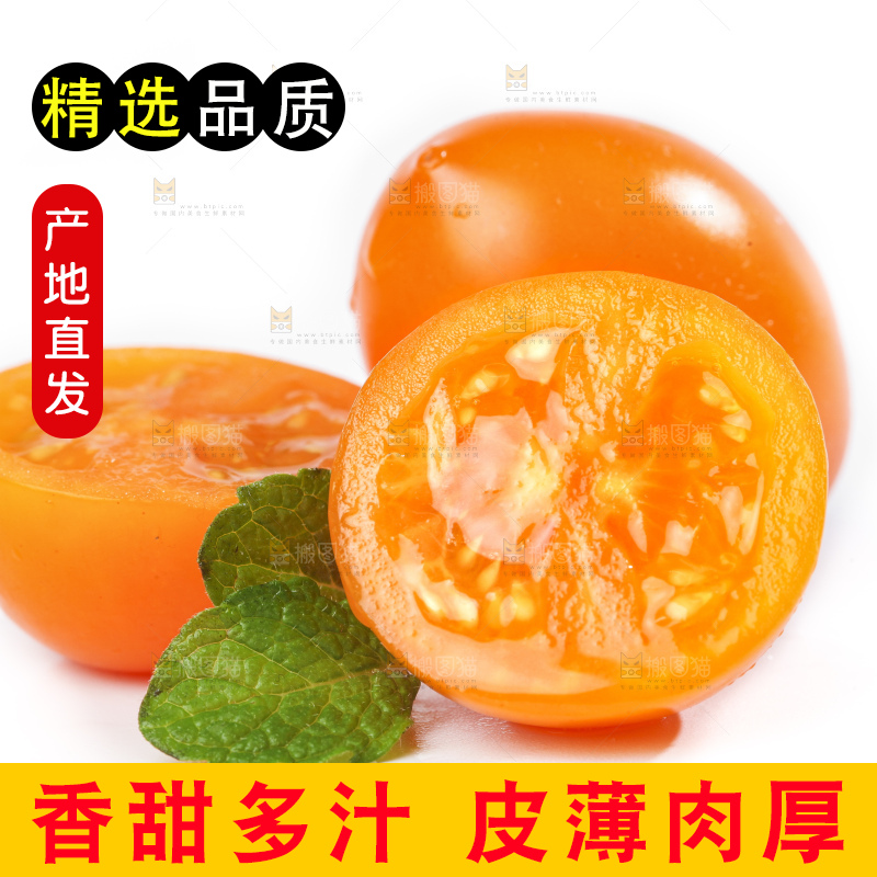 白底上摆放着山东黄金圣女果