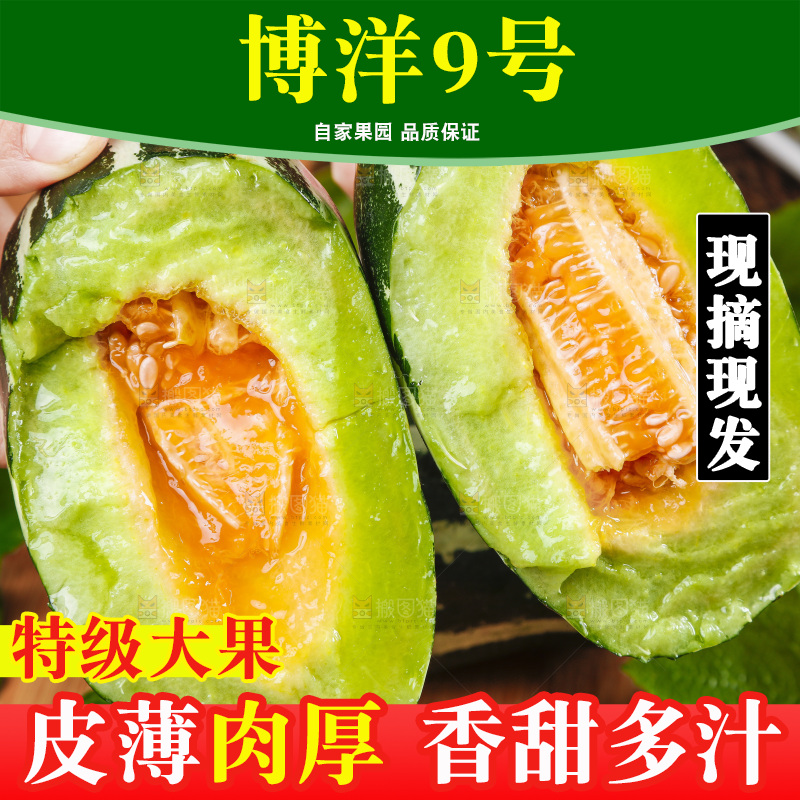 手里拿着美洋甜瓜