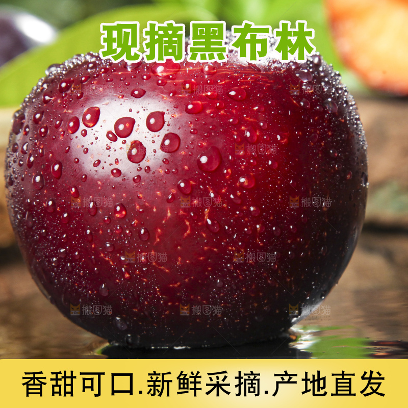 深底上放着黑玫瑰李