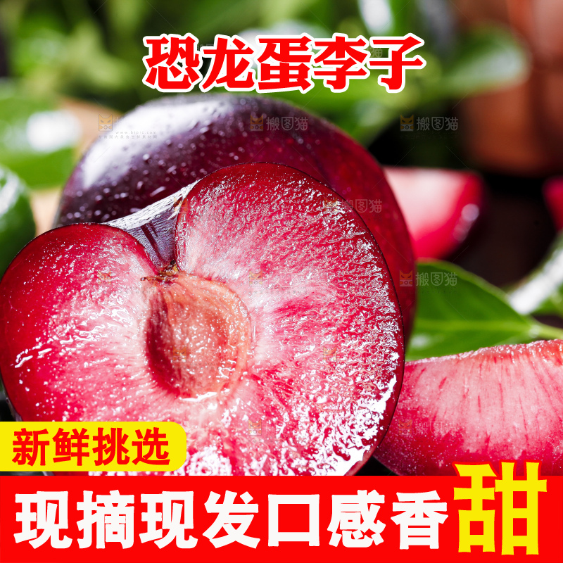 黑底上摆放着智利进口恐龙蛋