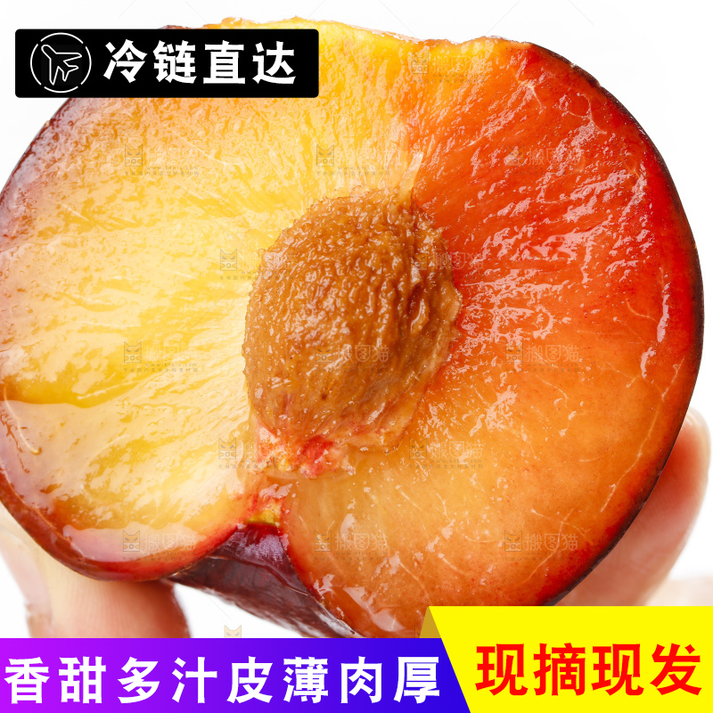 手里拿着黄肉黑布李