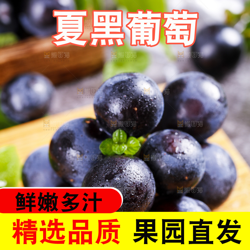 木底上摆放着夏黑葡萄