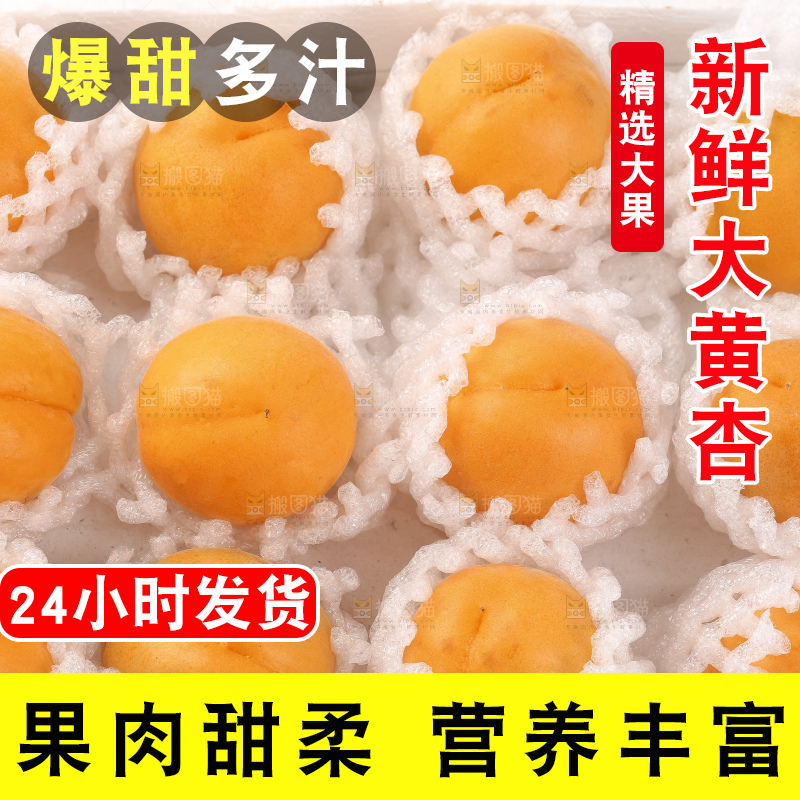 整齐摆放着的大黄杏