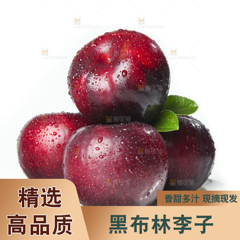 盘子里装着黑布朗