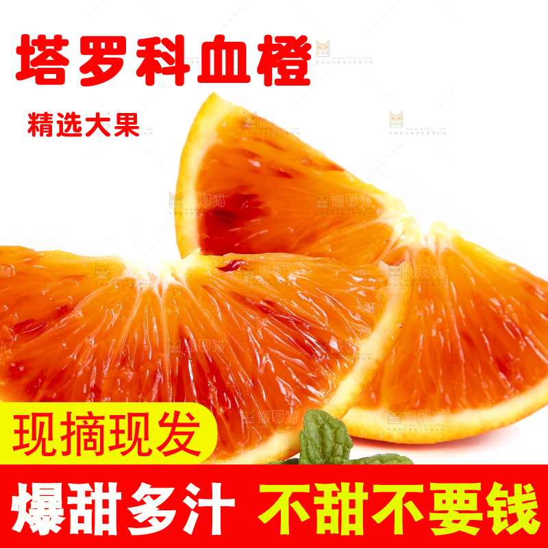 白底上的玫瑰血橙