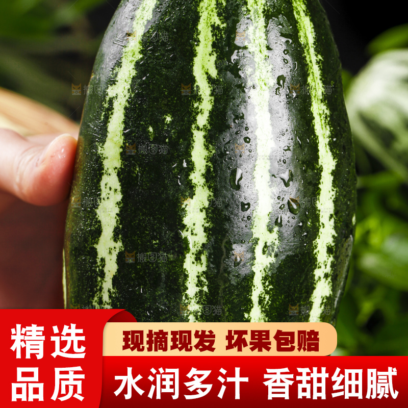手里拿着花皮甜瓜