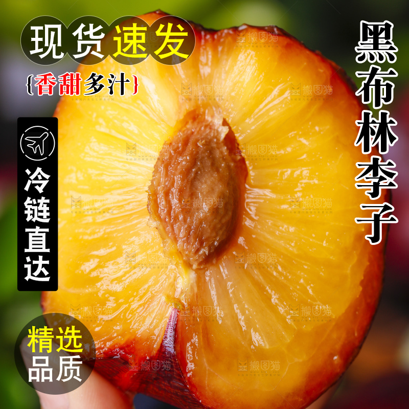 手里拿着黑布林