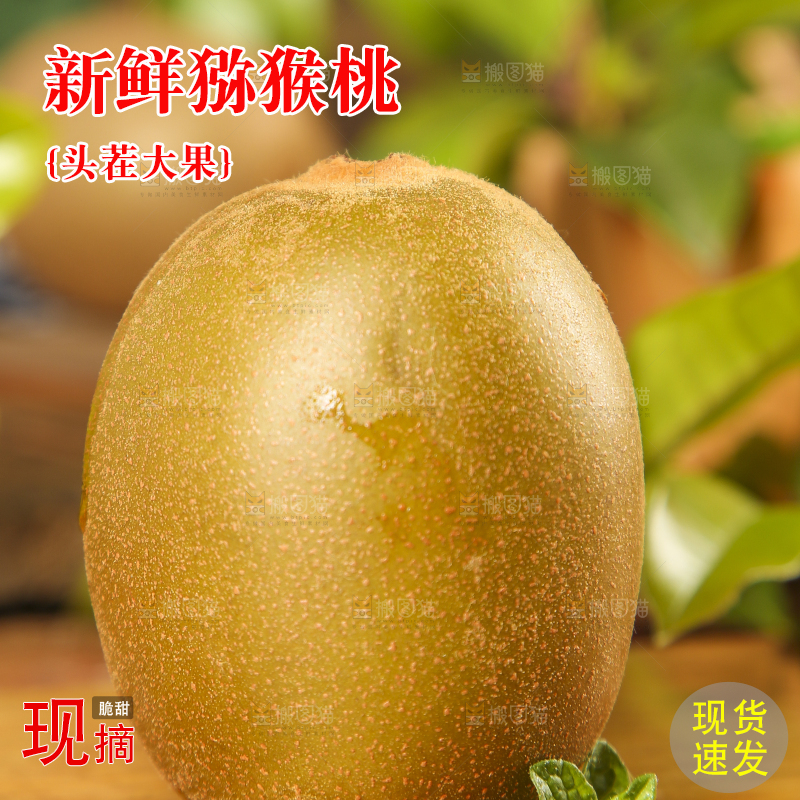 木底上摆放着蒲江黄心猕猴桃
