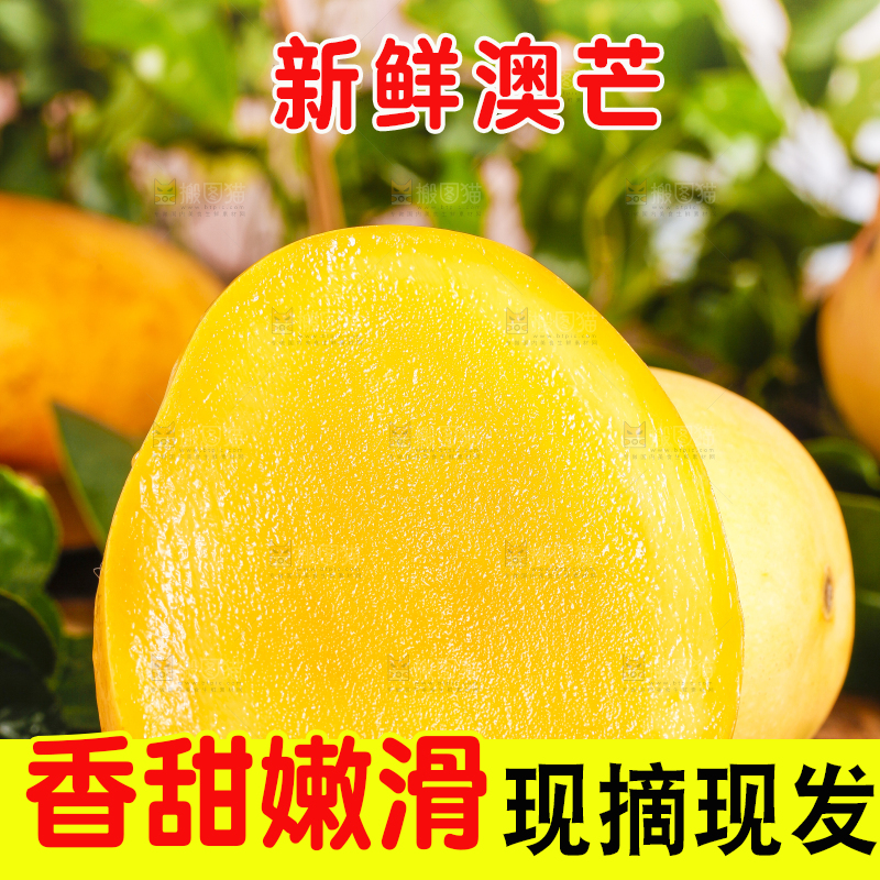 黑底上摆放着澳芒