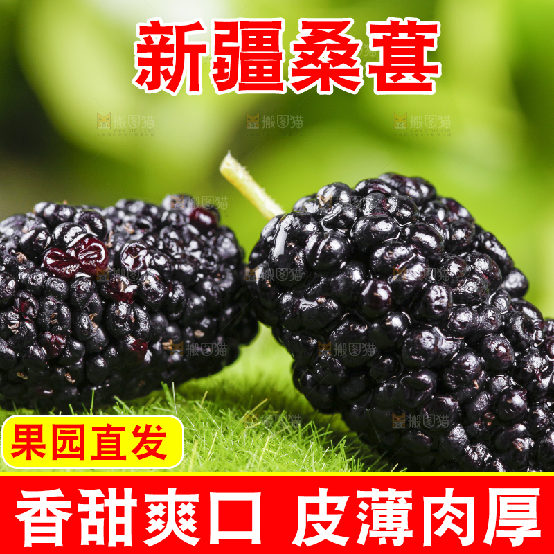 绿草地上摆放着桑葚