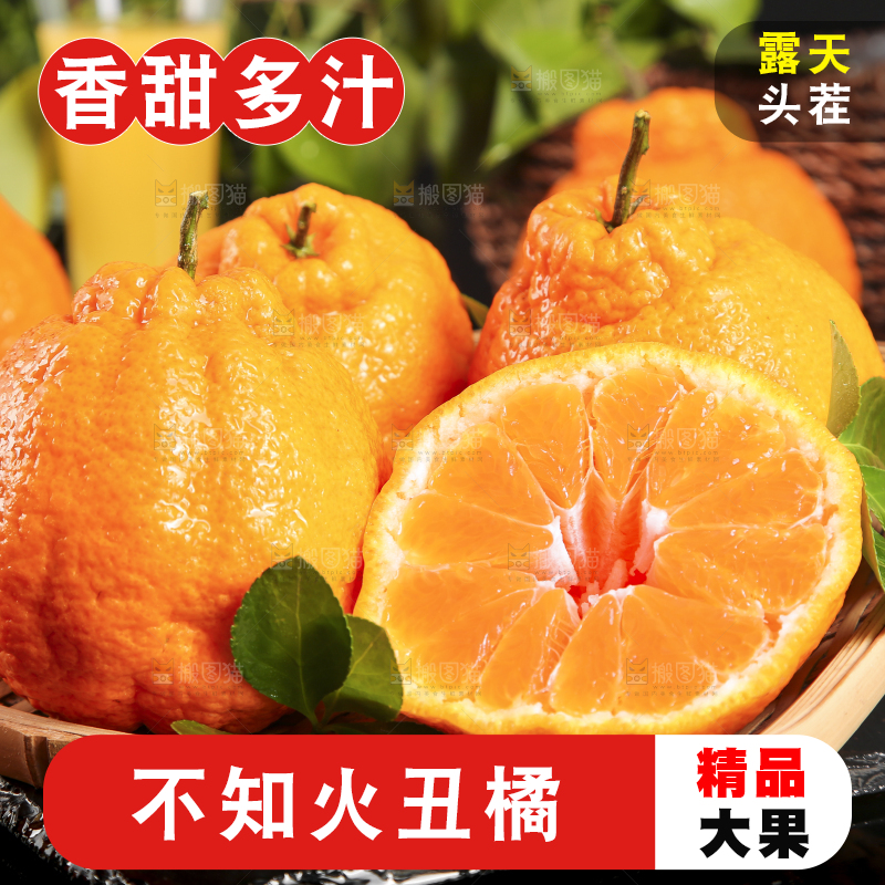 篮子里放着四川不知火丑橘