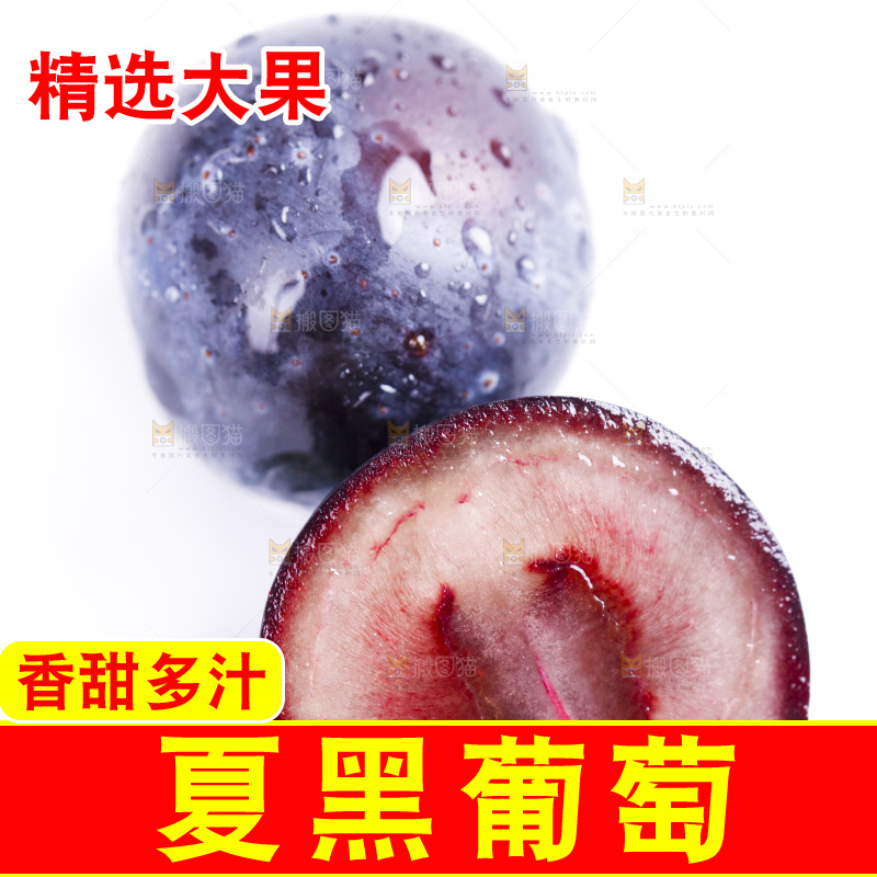 白底上放着夏黑加仑葡萄