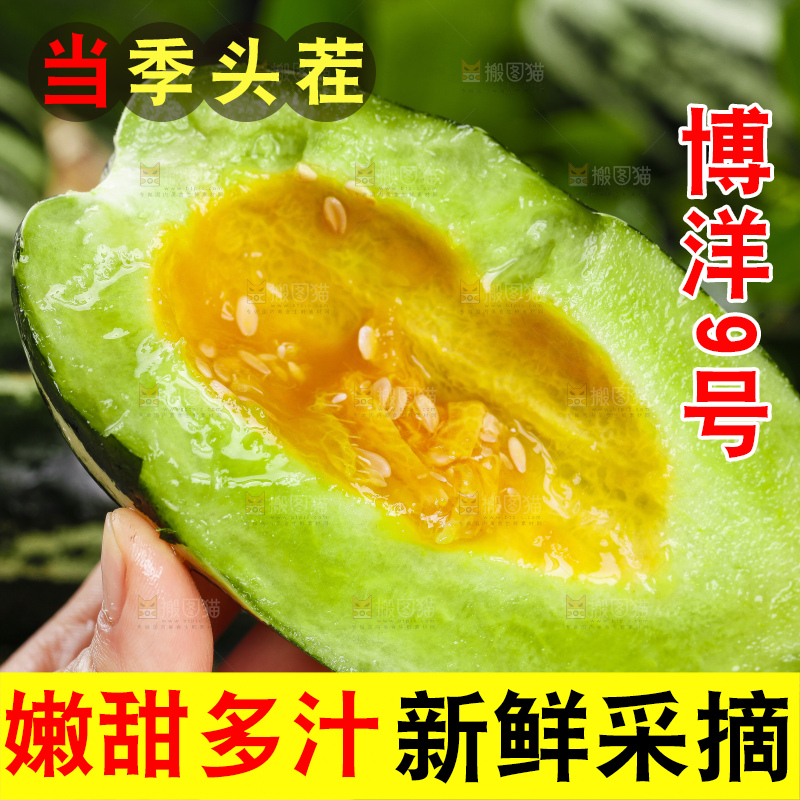 手里拿着花皮甜瓜