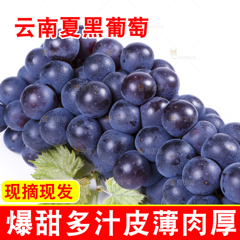 白底上摆放着巨峰葡萄