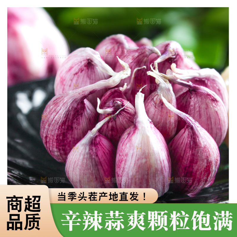 深底上摆放着紫皮多瓣蒜