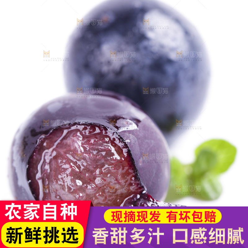 白底上摆放着夏黑葡萄