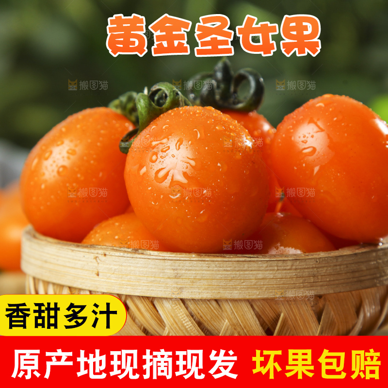 篮子里放着黄金圣女果