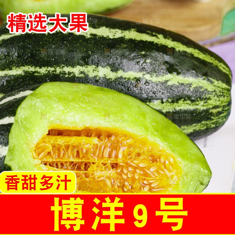 浅底上放着博洋香瓜