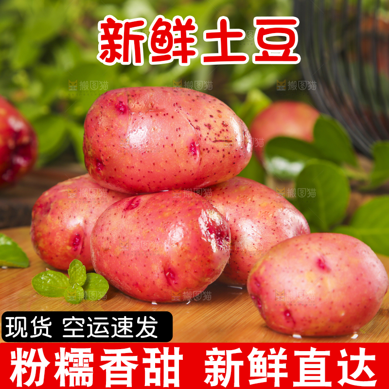 木底上摆放着红皮小土豆