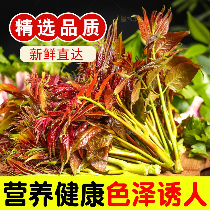 木底上摆放着一把香椿