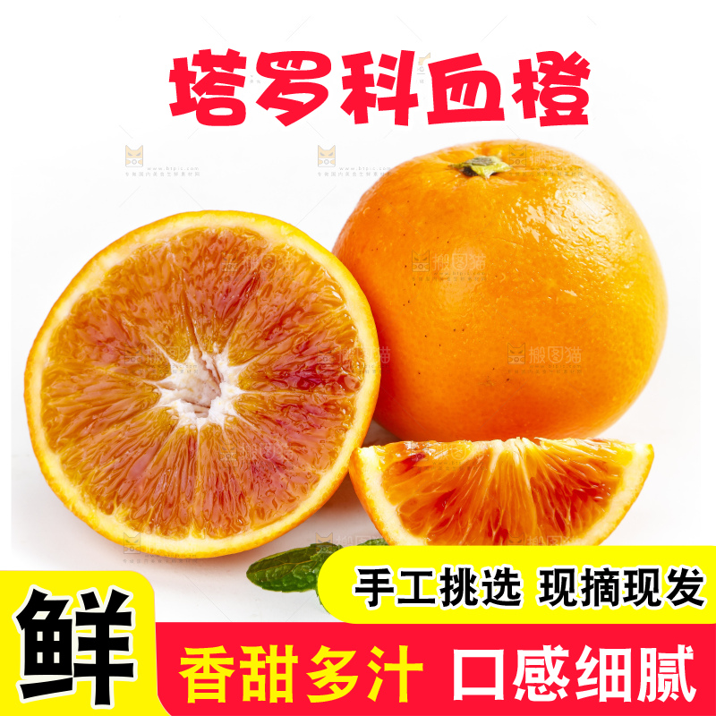 白底上摆放着四川塔罗科血橙