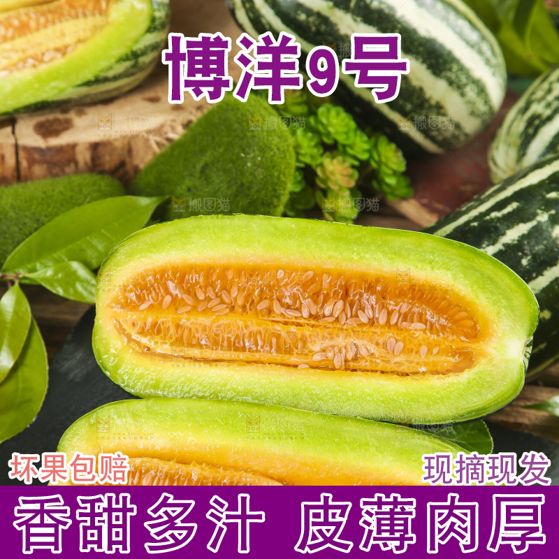 黑底上摆放着博洋香瓜