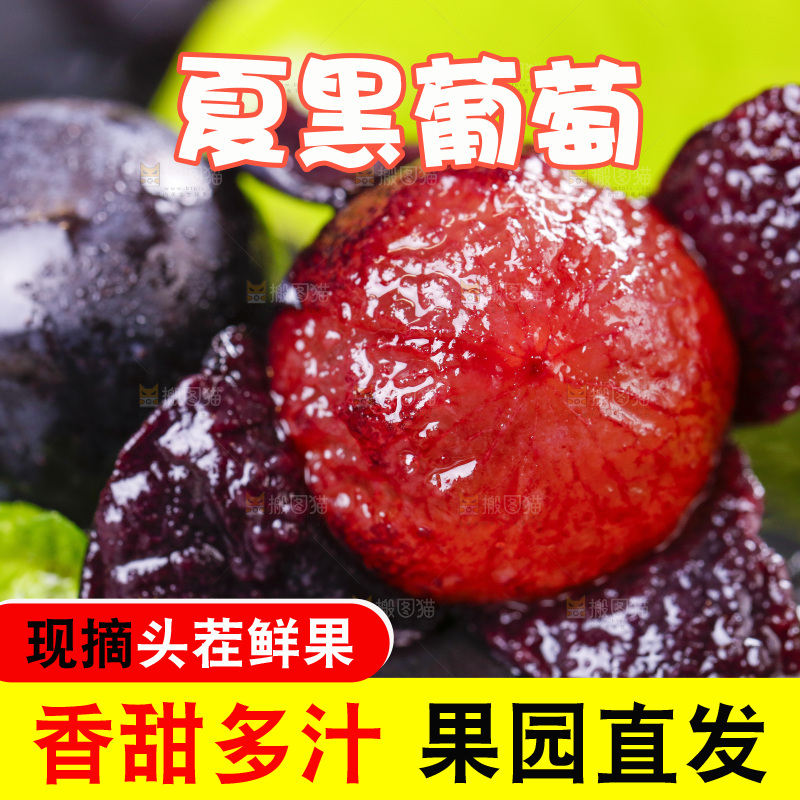 黑底上摆放着黑加仑葡萄