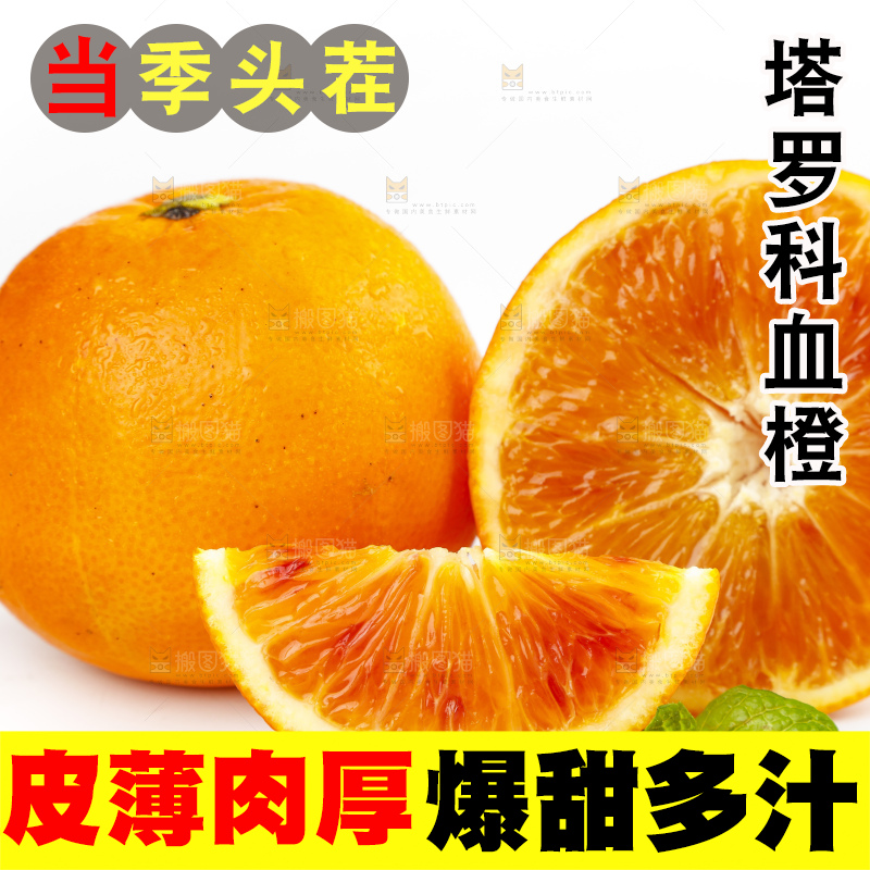 白底上摆放着四川塔罗科血橙