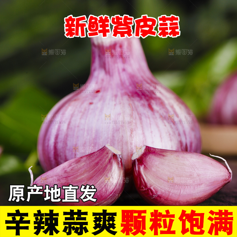 黑底上放着紫皮鲜蒜